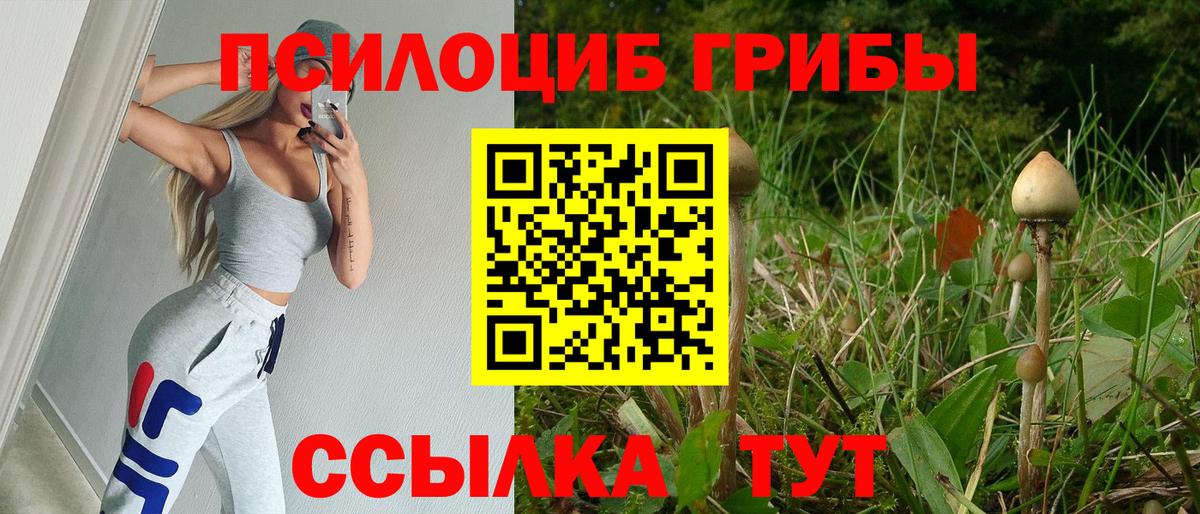 Новый Уренгой  Псилоцибиновые грибы Psilocybe  Вход с VPN  Галлюциногенные грибы прущие грибы 